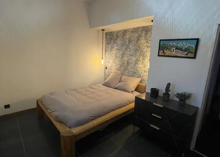 Apartment Moderne Et Climatise *